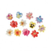 13-fleurs-3d-comestibles-en-azyme-assorties-patisdecor
