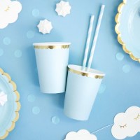 SPP1-001J-pailles-papier-bleu-ciel2