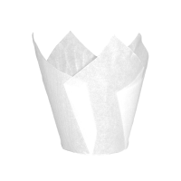 img_11183_b235c44bbc1c0fa13405f70884fb2db7_1