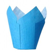 perle-doree-caissette-tulipe-hom-bleu