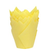 perle-doree-caissette-tulipe-hom-jaune