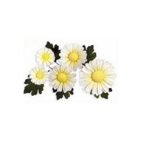 perle-doree-empreinte-marguerite1