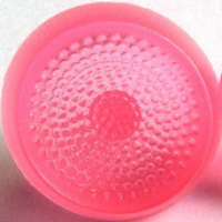 perle-doree-empreinte-marguerite2