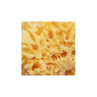 perle-doree-eponge-a-peinture-alimentaire1