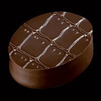 perle-doree-feuille-structure-crocodile